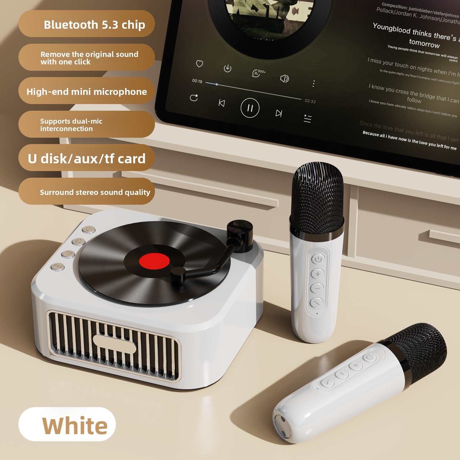 Vinyl Record Style Retro Karaoke Bluetooth Speaker Portable High Quality Sound