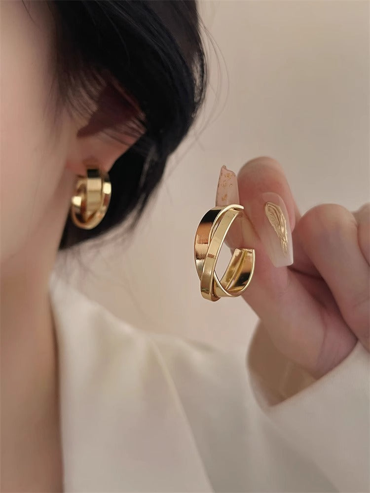 French Metal Earrings for Women 925 Silver Ins Style High-end Elegant Hoop Design