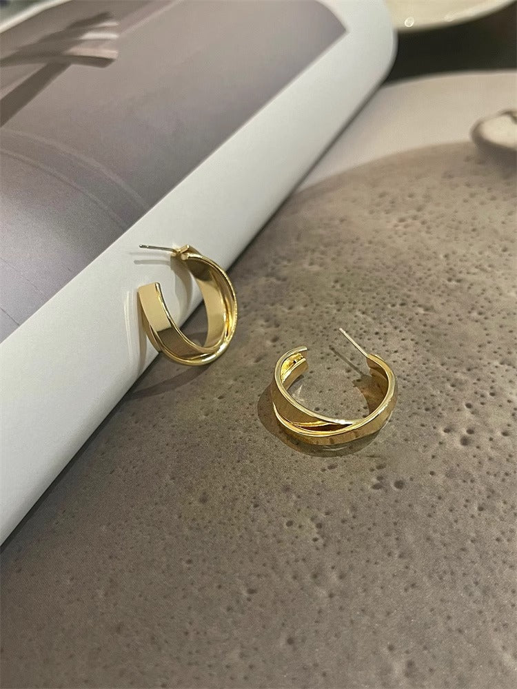 French Metal Earrings for Women 925 Silver Ins Style High-end Elegant Hoop Design