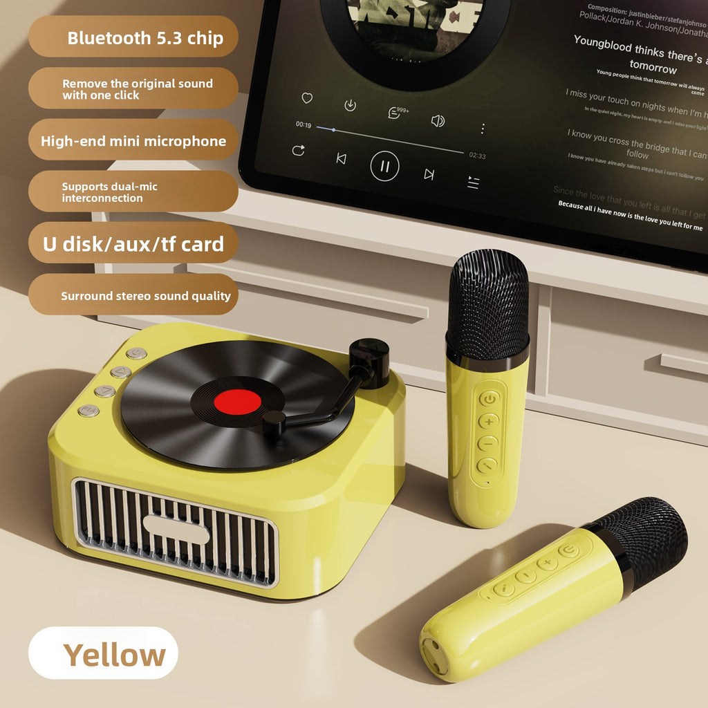 Vinyl Record Style Retro Karaoke Bluetooth Speaker Portable High Quality Sound