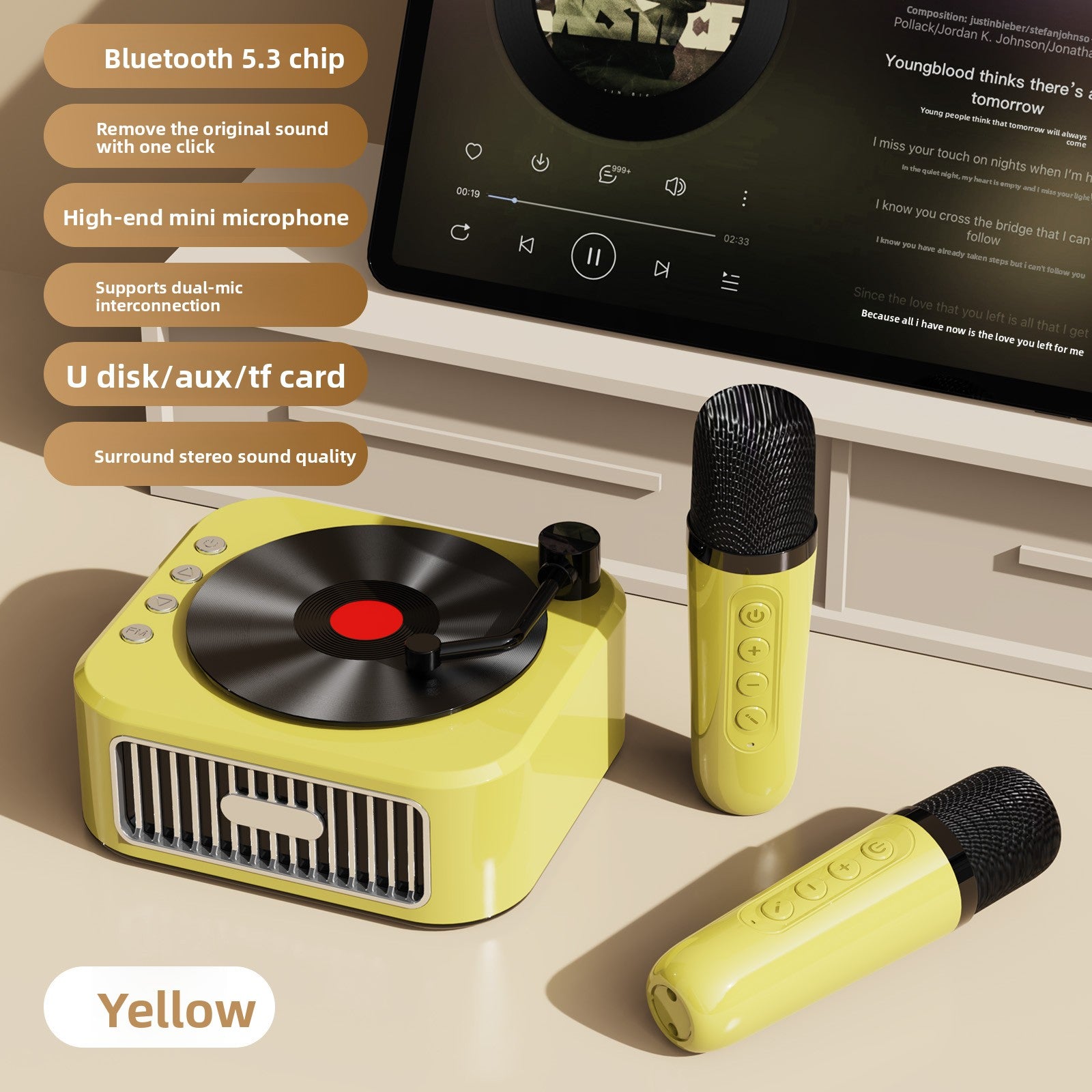 Vinyl Record Style Retro Karaoke Bluetooth Speaker Portable High Quality Sound