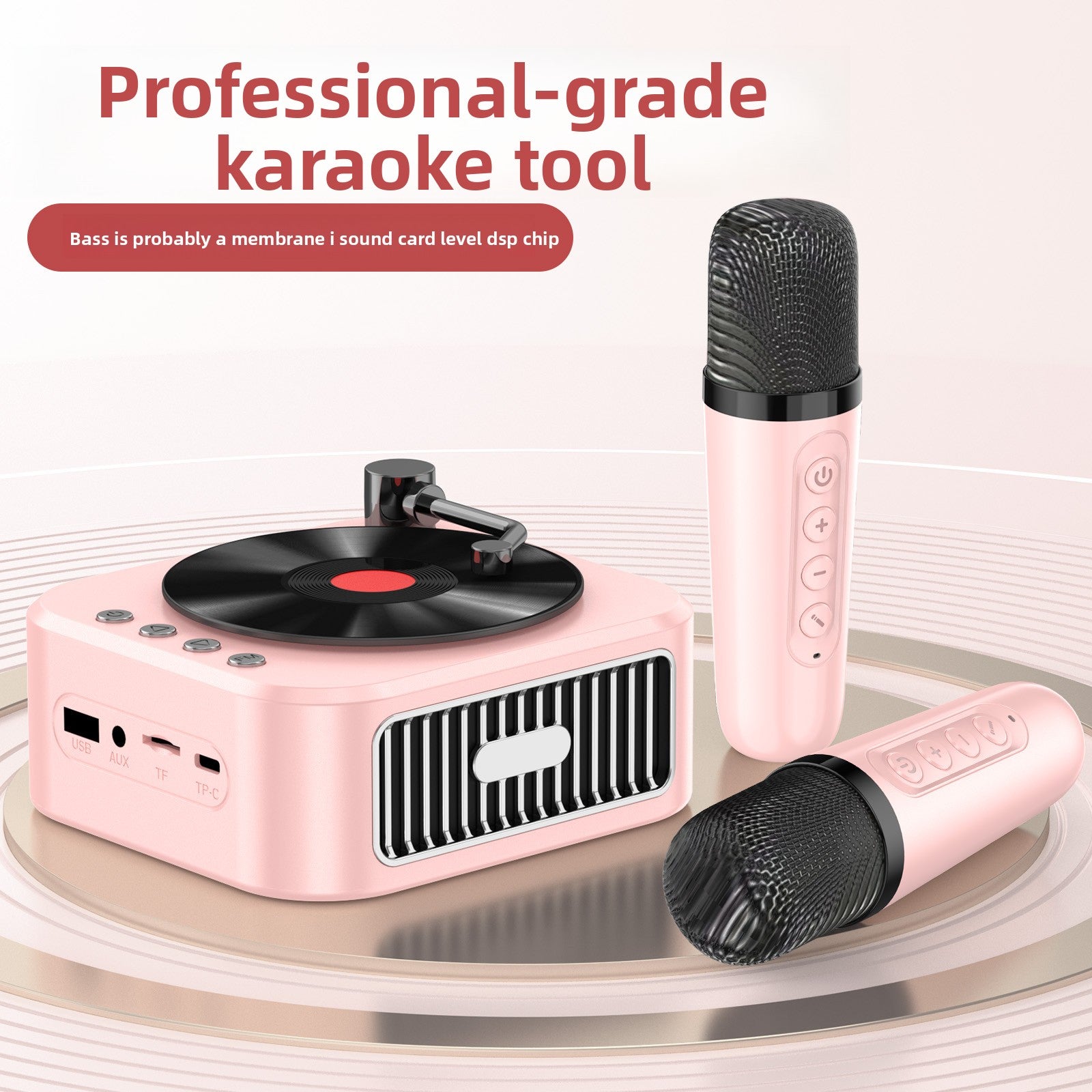 Vinyl Record Style Retro Karaoke Bluetooth Speaker Portable High Quality Sound