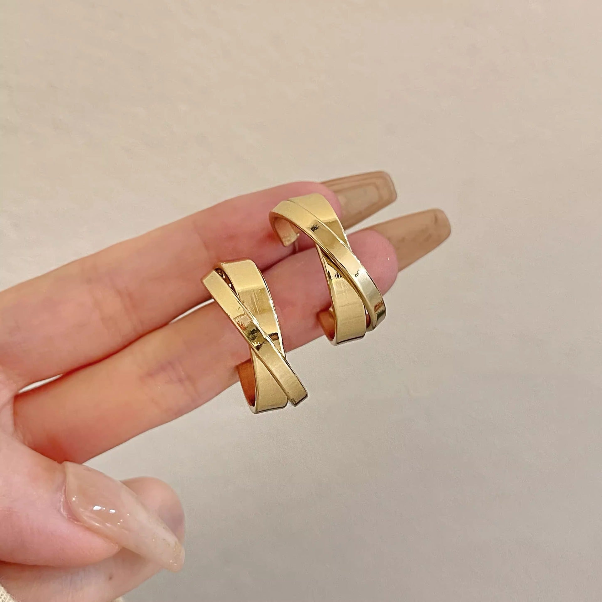 French Metal Earrings for Women 925 Silver Ins Style High-end Elegant Hoop Design