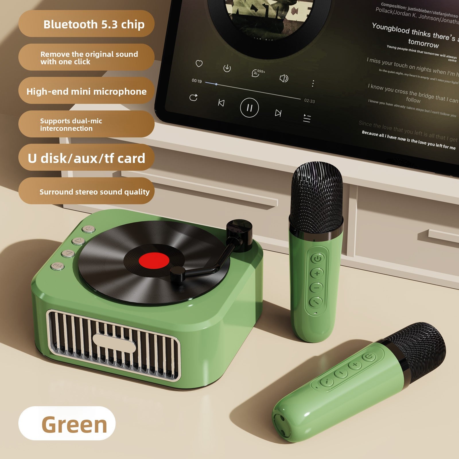 Vinyl Record Style Retro Karaoke Bluetooth Speaker Portable High Quality Sound
