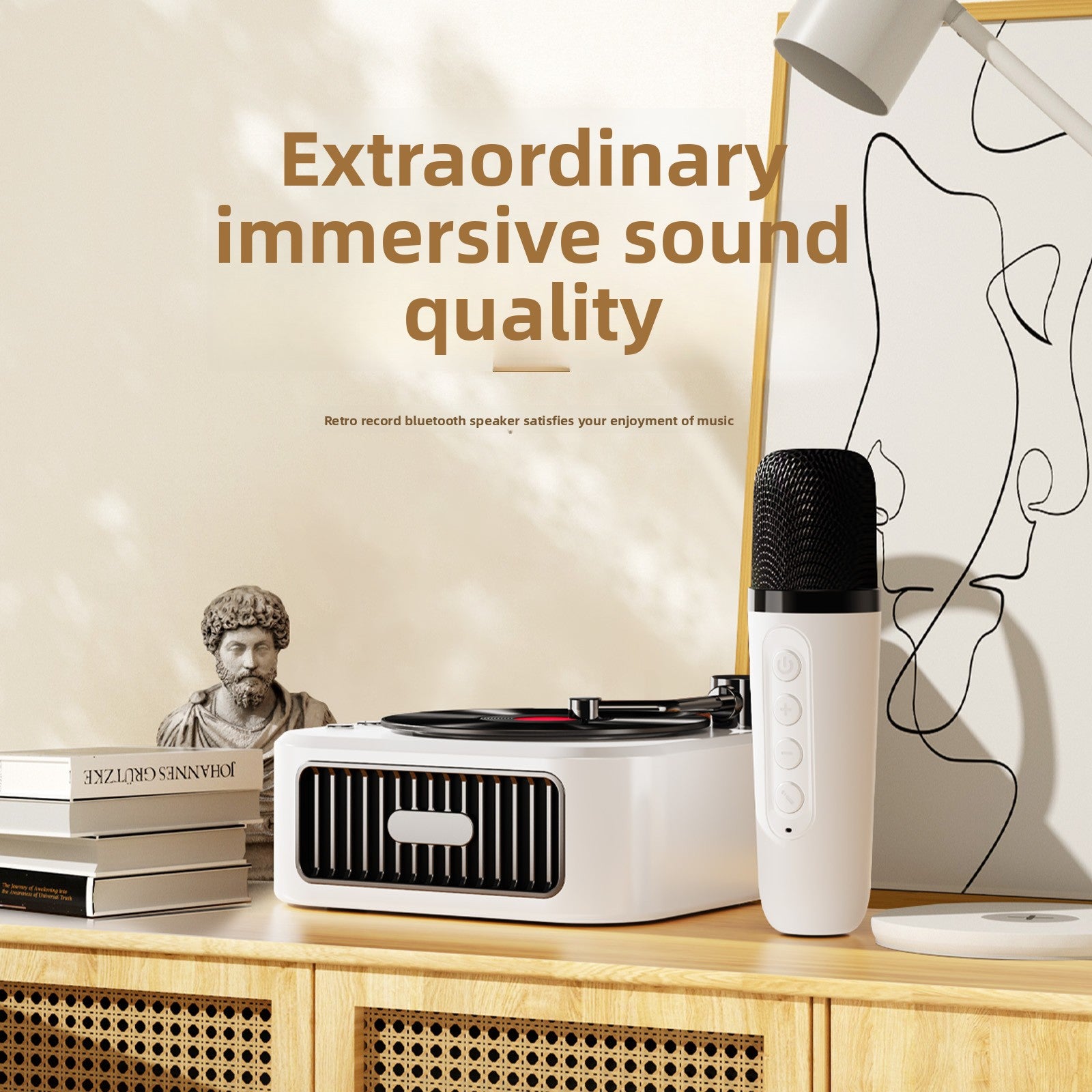 Vinyl Record Style Retro Karaoke Bluetooth Speaker Portable High Quality Sound