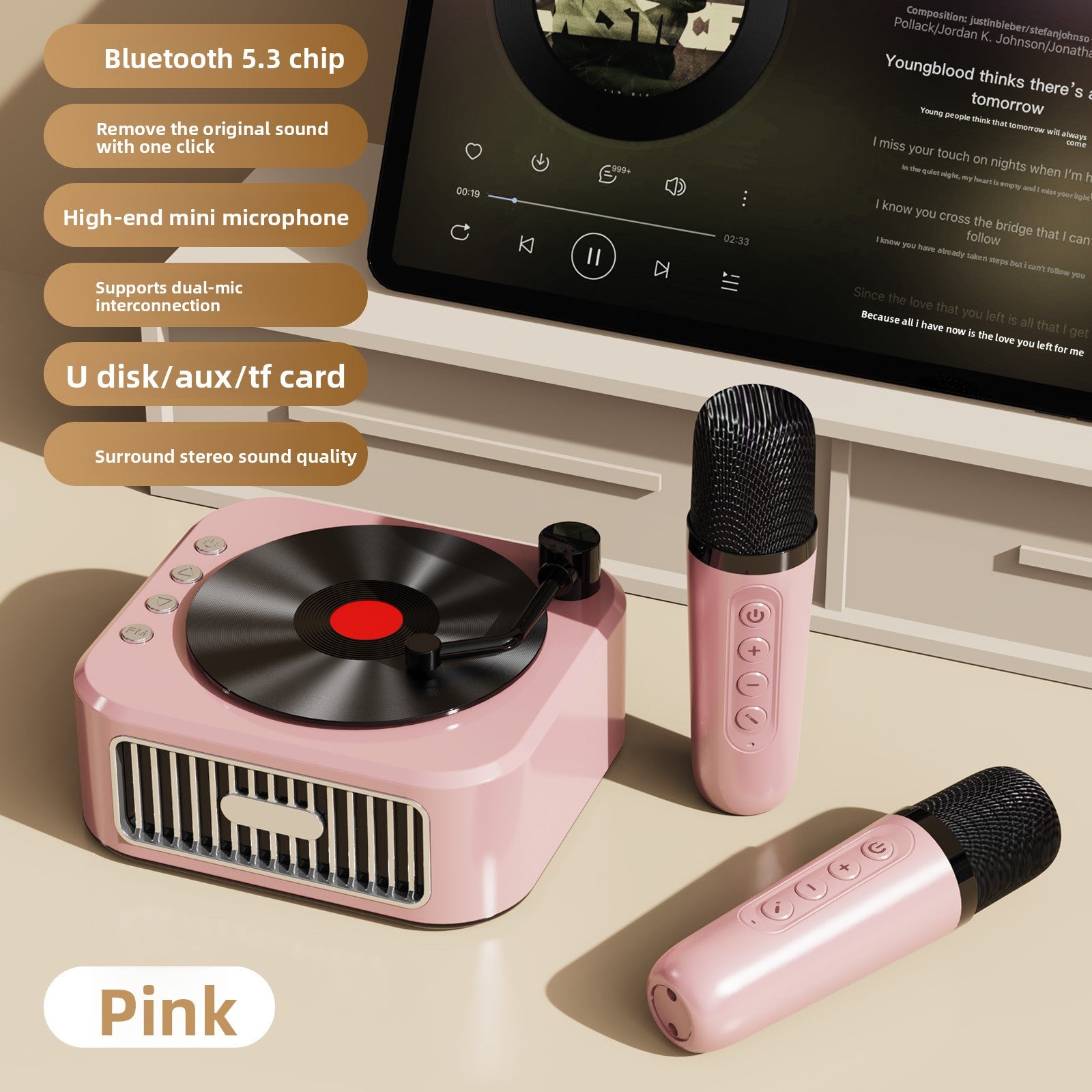 Vinyl Record Style Retro Karaoke Bluetooth Speaker Portable High Quality Sound