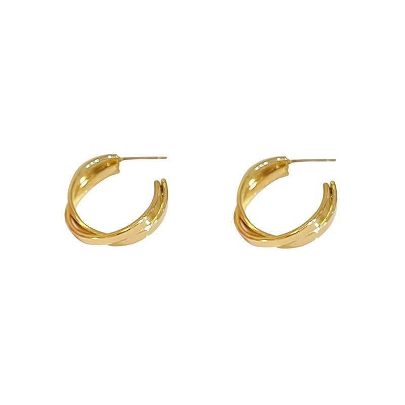 French Metal Earrings for Women 925 Silver Ins Style High-end Elegant Hoop Design