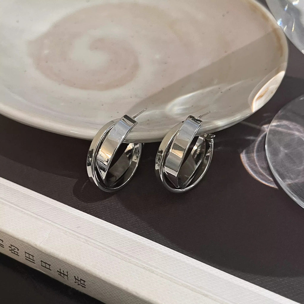 French Metal Earrings for Women 925 Silver Ins Style High-end Elegant Hoop Design