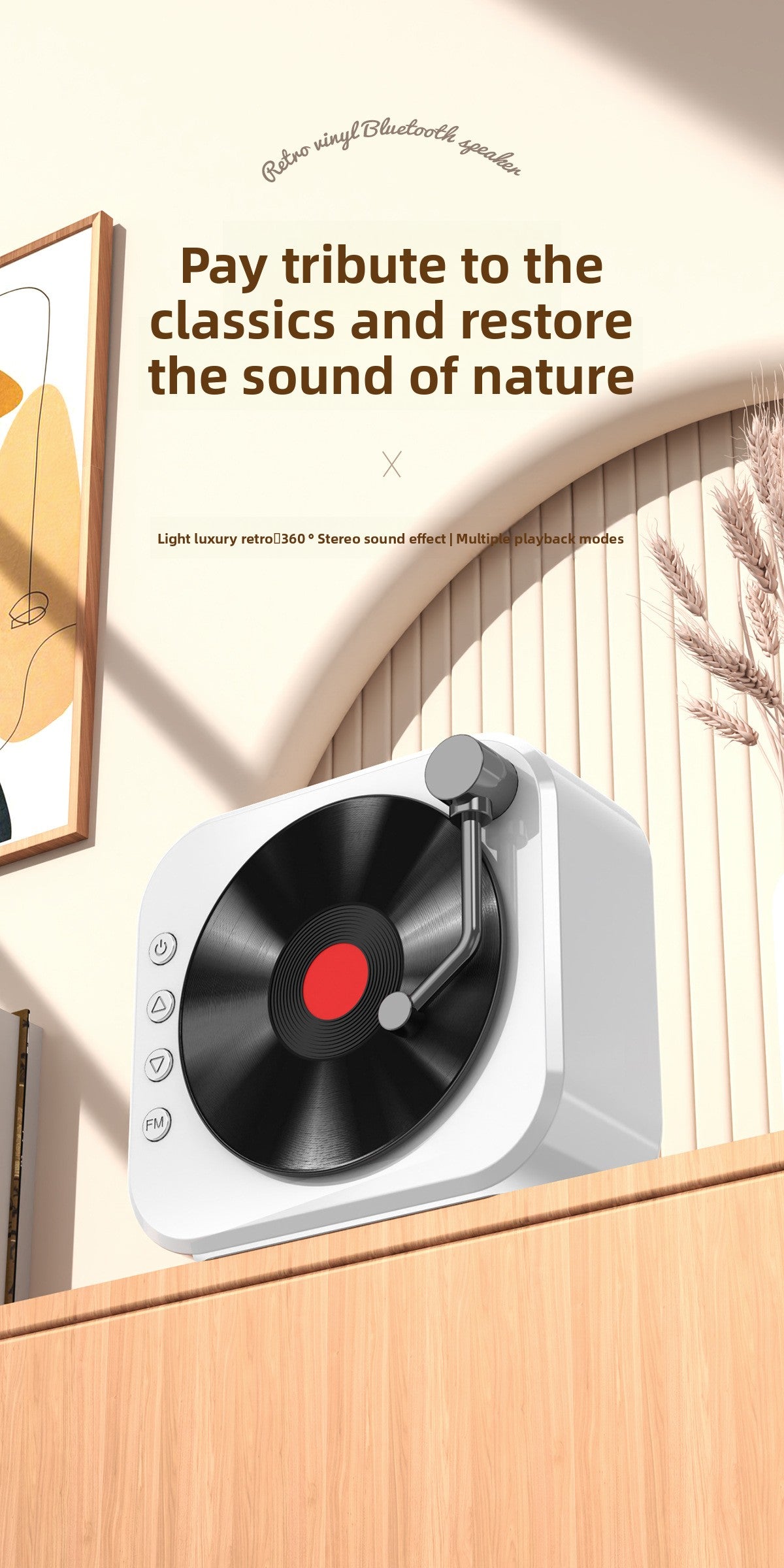 Vinyl Record Style Retro Karaoke Bluetooth Speaker Portable High Quality Sound